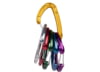 Image of Hardware Carabiners category