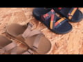 Chaco Lowdown - Your Everyday Sandal