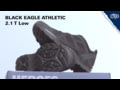 HAIX Black Eagle Athletic 2.1 T Low