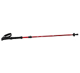 Image of ALPS Mountaineering Conquest Trekking Pole