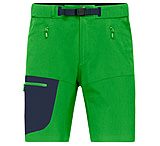 Image of Norrona Falketind Flex1 Light Shorts - Men's