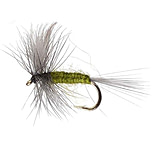 Image of Perfect Hatch Dry Flies Blue Winged