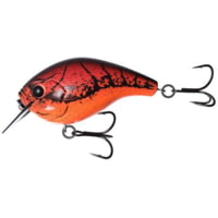 13 Fishing