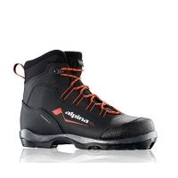 alpina snowfield