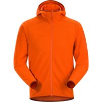 Patagonia r1 vs arcteryx cheap delta lt