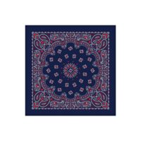 Carolina Manufacturing Bandana Paisley Terracotta B22PAI-000014