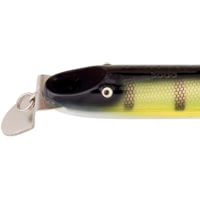 Creek Chub