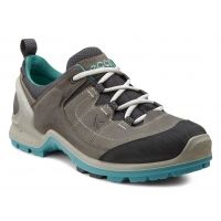 ecco biom terrain womens