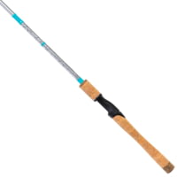 Favorite Fishing