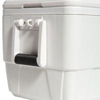 igloo 36 qt cooler