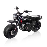 Mega Moto 212cc Pro Series Mini Bike — CampSaver