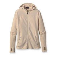 patagonia capilene 4 hoody