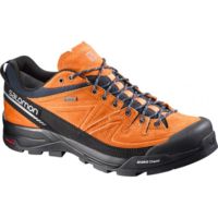 X alp ltr gtx new arrivals