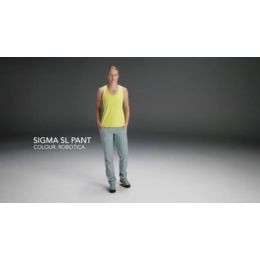 arcteryx sigma fl pant women's
