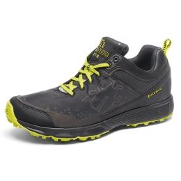 icebug trail running shoes