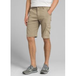 prana men's stretch zion shorts