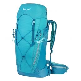 salewa trainer