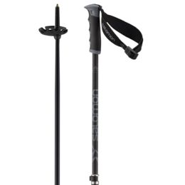 salomon nordic walking