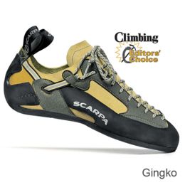 Scarpa Techno Climbing Shoe - Gingko 41 