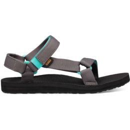 teva 1003987