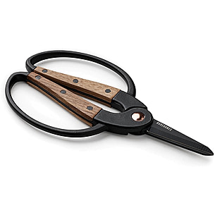 Small Scissors