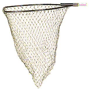 Cumings Nets