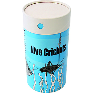 Hubs-Chub 50 Paper Cricket Cage Round Throwaway — CampSaver