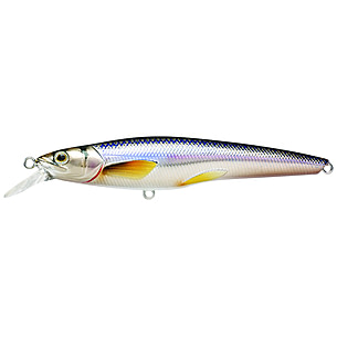 LIVE TARGET Fishing Tackle Lures Koppers Yp S Perch Shallow Dive