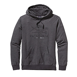 Patagonia Geodesic Flying Fish Lightweight Pullover Hooded Sweatshirt -  Mens — CampSaver