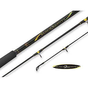 South Bend Black Beauty 2 Downrigger 8'3in Medium Fishing Rod — CampSaver