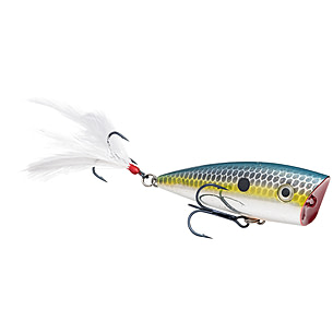 Strike King KVD Splash Topwater Popper Jr.