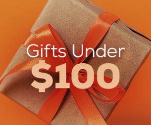 Gifts Under $100