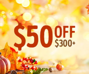 $50 off $300+