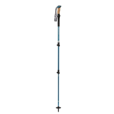mountainsmith trekking pole