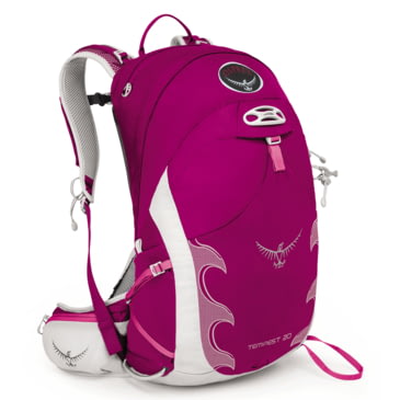 north face backpack jester luxe