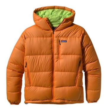 patagonia men's fitz roy down jacket special