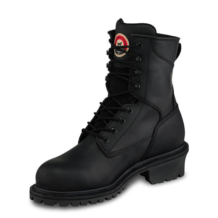 irish setter mesabi black