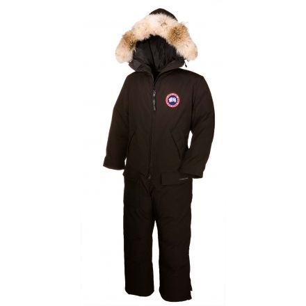 canada goose artic canada goose artic