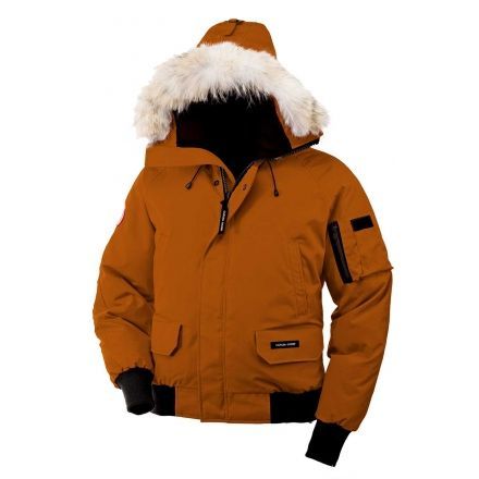 canada goose brown chilliwack canada goose brown chilliwack