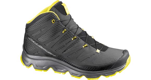 salomon synapse