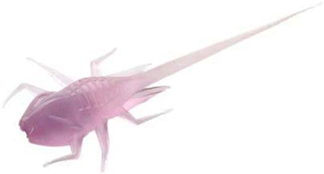 Rapala BAMF Panfish Plastics Creature Bait 6 5in Purple Rain