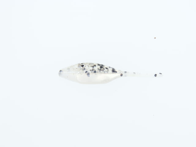 Bass Assassin Tiny Shad Assasin Swimbaits 15 1 1/2in Salt & Pepper Silver Phantom