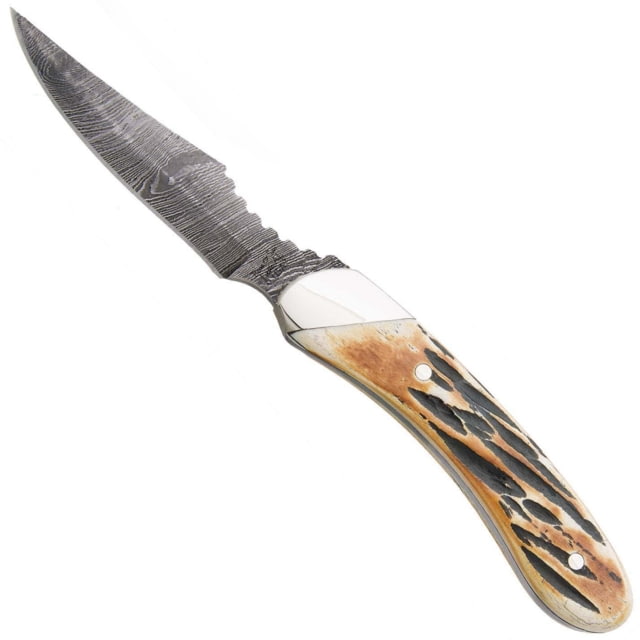 Bear and Son Knives Caper Fixed Blade Knife 2.5in Damascus Steel Genuine India Stag Bone Handle w/Leather Sheath
