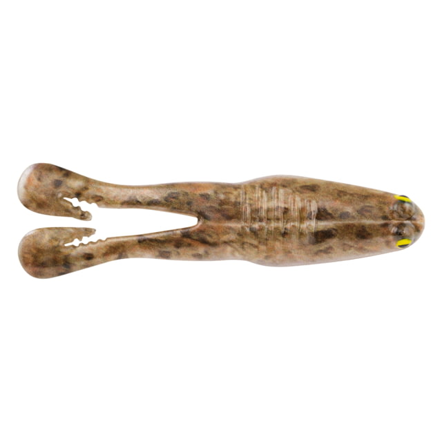 Berkley BuzzN Speed Toad Topwater 5 4.25in American Toad