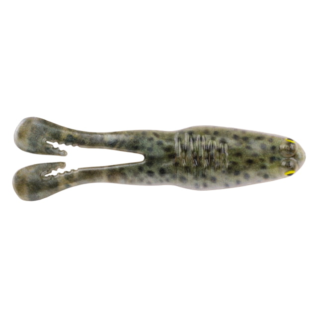 Berkley BuzzN Speed Toad Topwater 5 4.25in Bull Frog