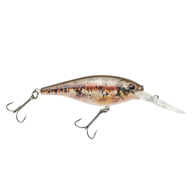 Berkley Flicker Shad Hard Bait Crankbait 5/16 oz 2 3/4in / 7cm 11ft-13ft / 3.4m-4.0m Hook Size 6 2 Hooks HD Blacknose Dace