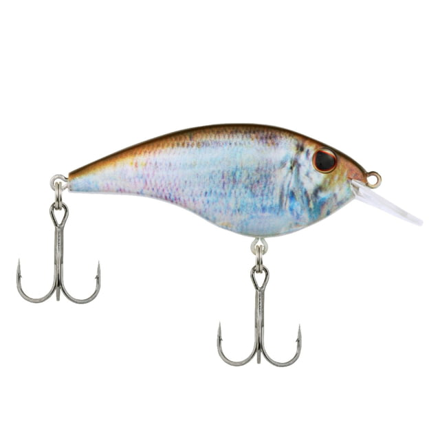 Berkley Berkley Frittside Hard Bait Crankbait 5 Biggunft 3/7oz 2 4/5in / 7cm 2ft-5ft / 0.5-1.5m Hook Size 5 2 Hooks HD Blueback Herring 5 Biggunft