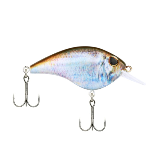 Berkley Berkley Frittside Hard Bait Crankbait 5 Junior 1/4oz 2in / 5cm 2ft-5ft / 0.5-1.5m Hook Size 7 2 Hooks HD Blueback Herring 5 Junior