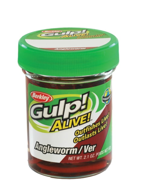 Berkley Gulp Alive Angle Worm 1in 2.1oz Jar Red Wiggler