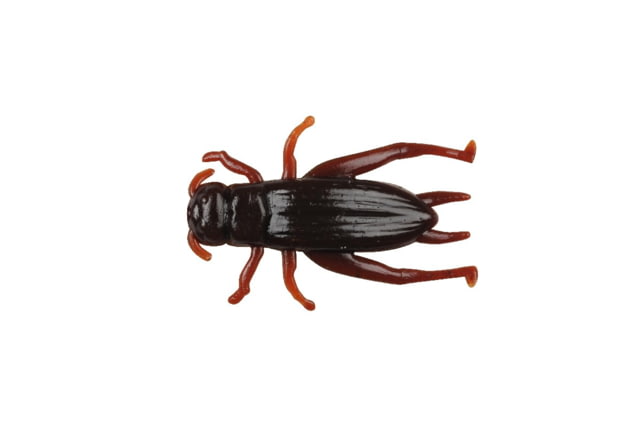 Berkley Berkley Gulp Alive Cricket 1in. Bait Cricket Brown